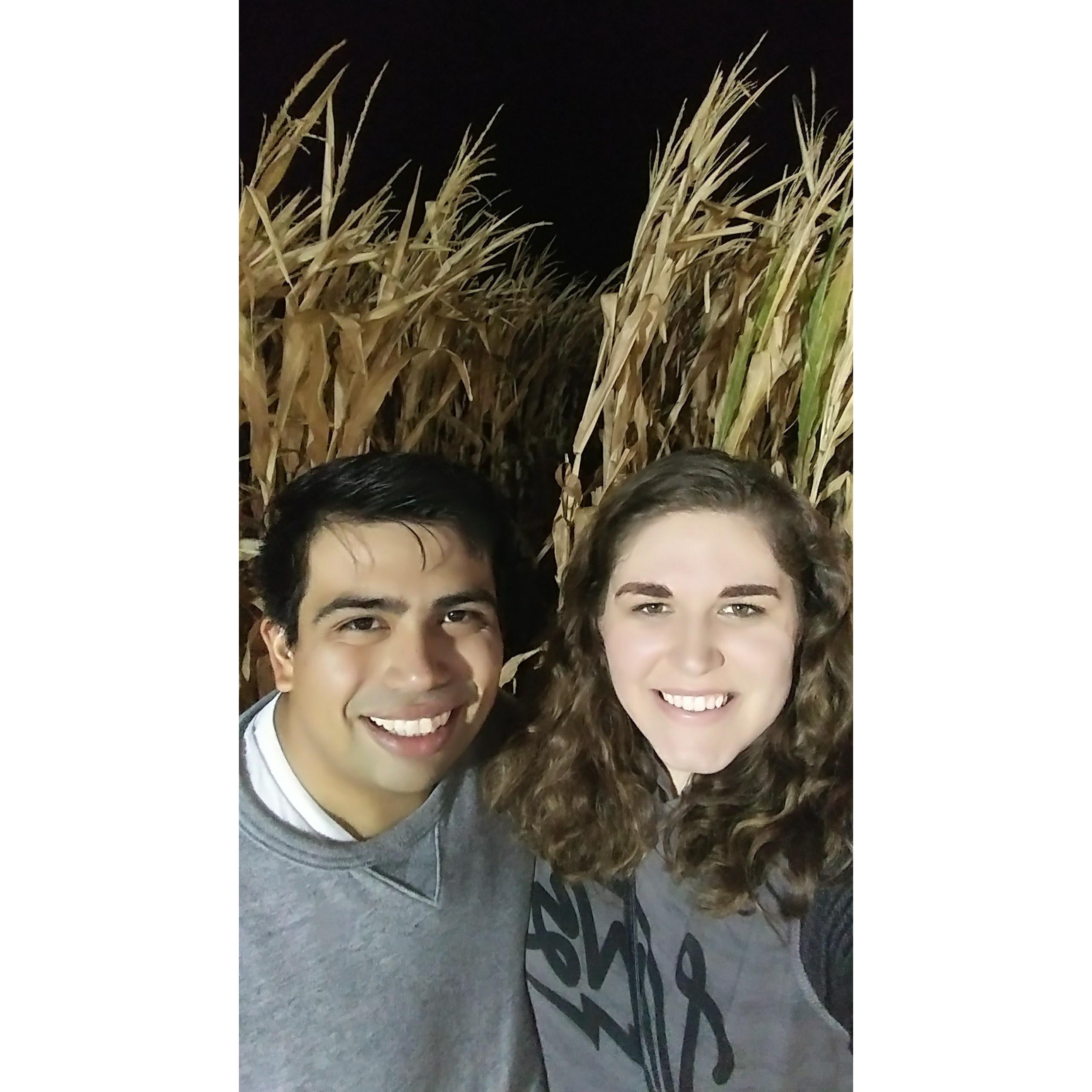 corn maze together