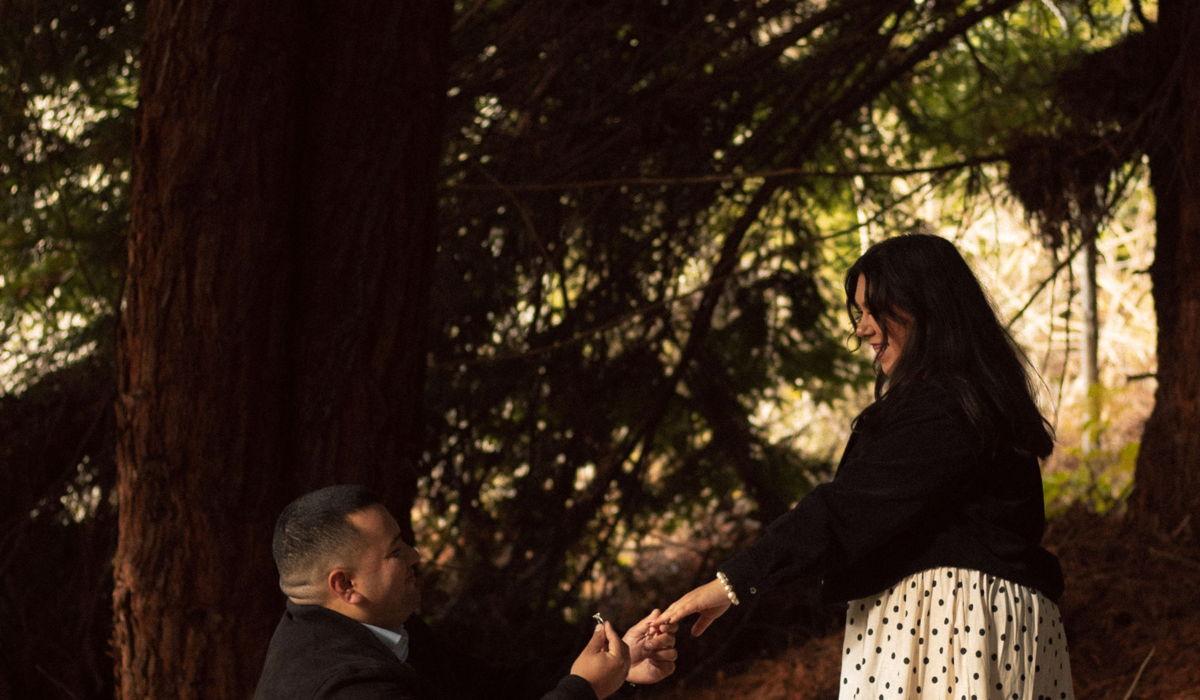 Hero Slideshow Image 4