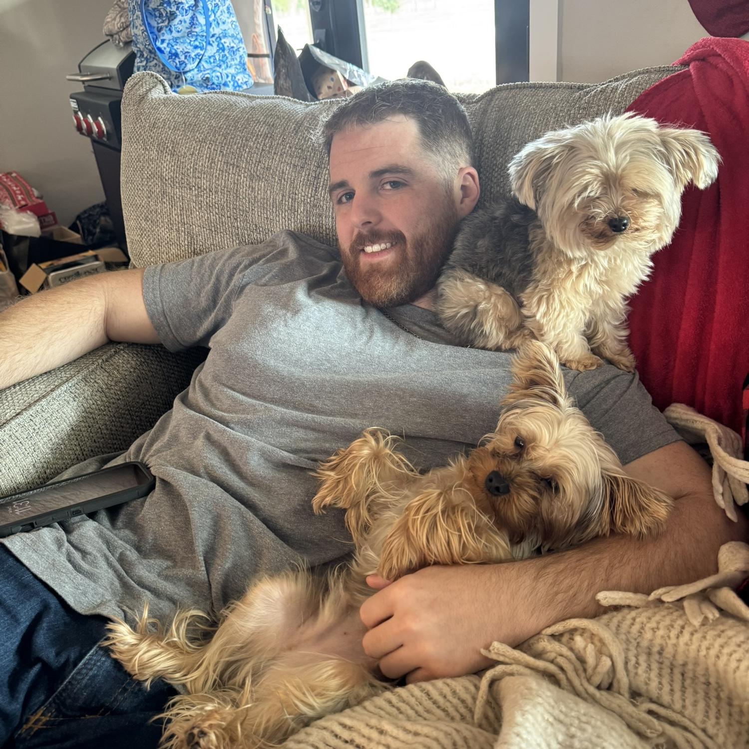 Yorkies love him