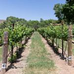 Verde Valley Wine Trail
