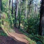 Buzzards Roost Hiking Trail