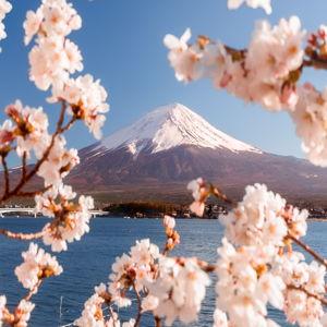 Honeymoon fund to Japan.