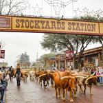 Fort Worth Stockyards
