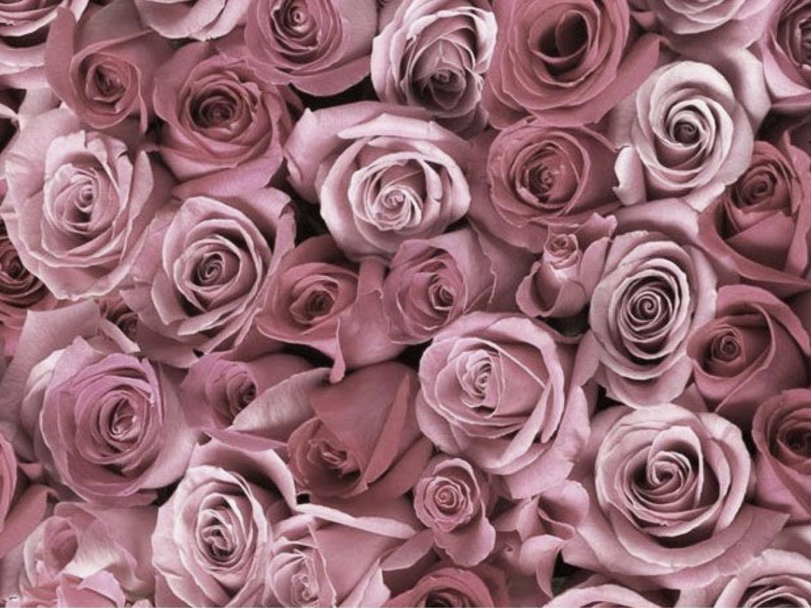 The Wedding Website of Bailey Smith and Armando Torres