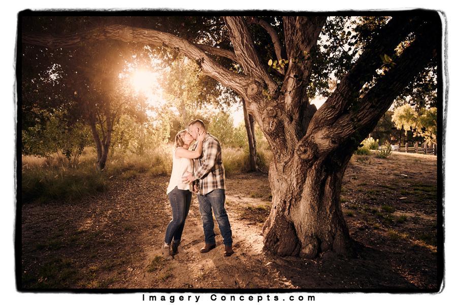 The Wedding Website of Fairlight Lieber and David Stein