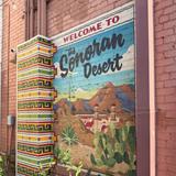 Downtown Gilbert
