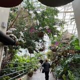 Foellinger-Freimann Botanical Conservatory