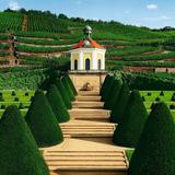 Schloss Wackerbarth + Radebeul Vineyards & Wine Tours