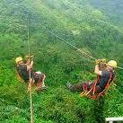 Tree Frog Canopy Tours