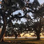 Mandeville Lakefront