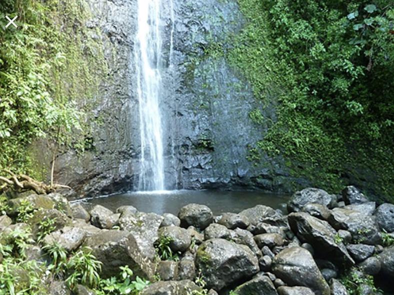 Manoa Waterfall Hike