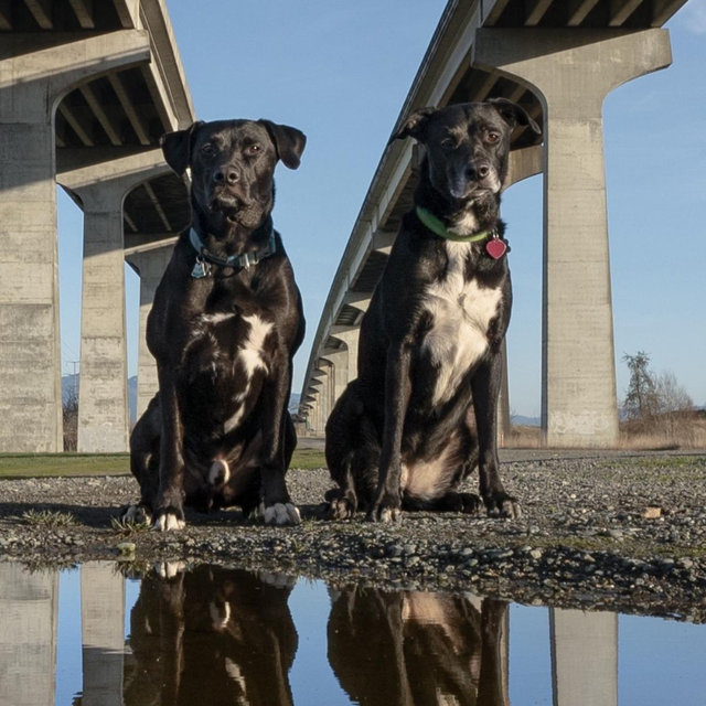 Maisy + Max + Maverick