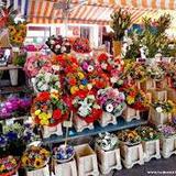 Cours Saleya