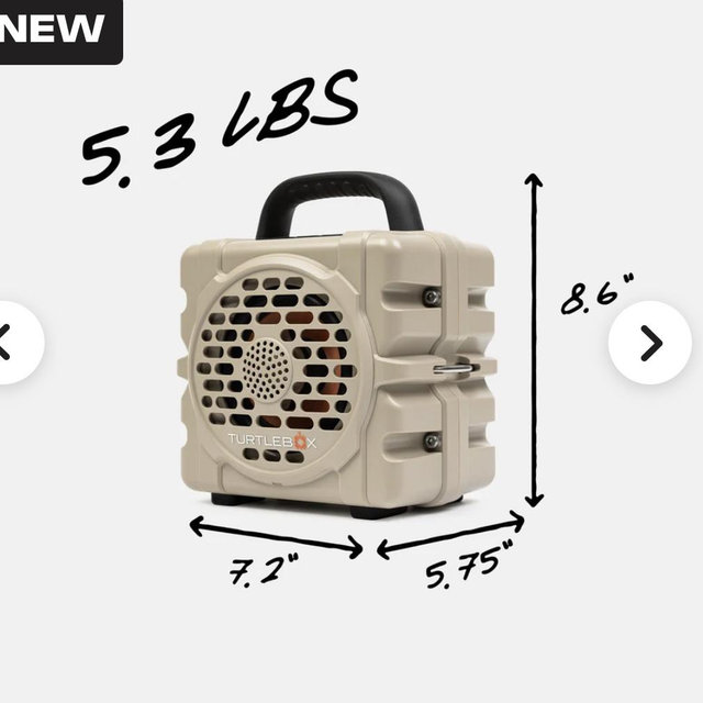 Tan Turtle box cub