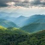 Pisgah Forest