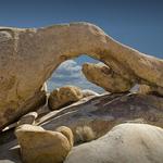 Joshua Tree National Park