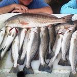 Island Marine Charters