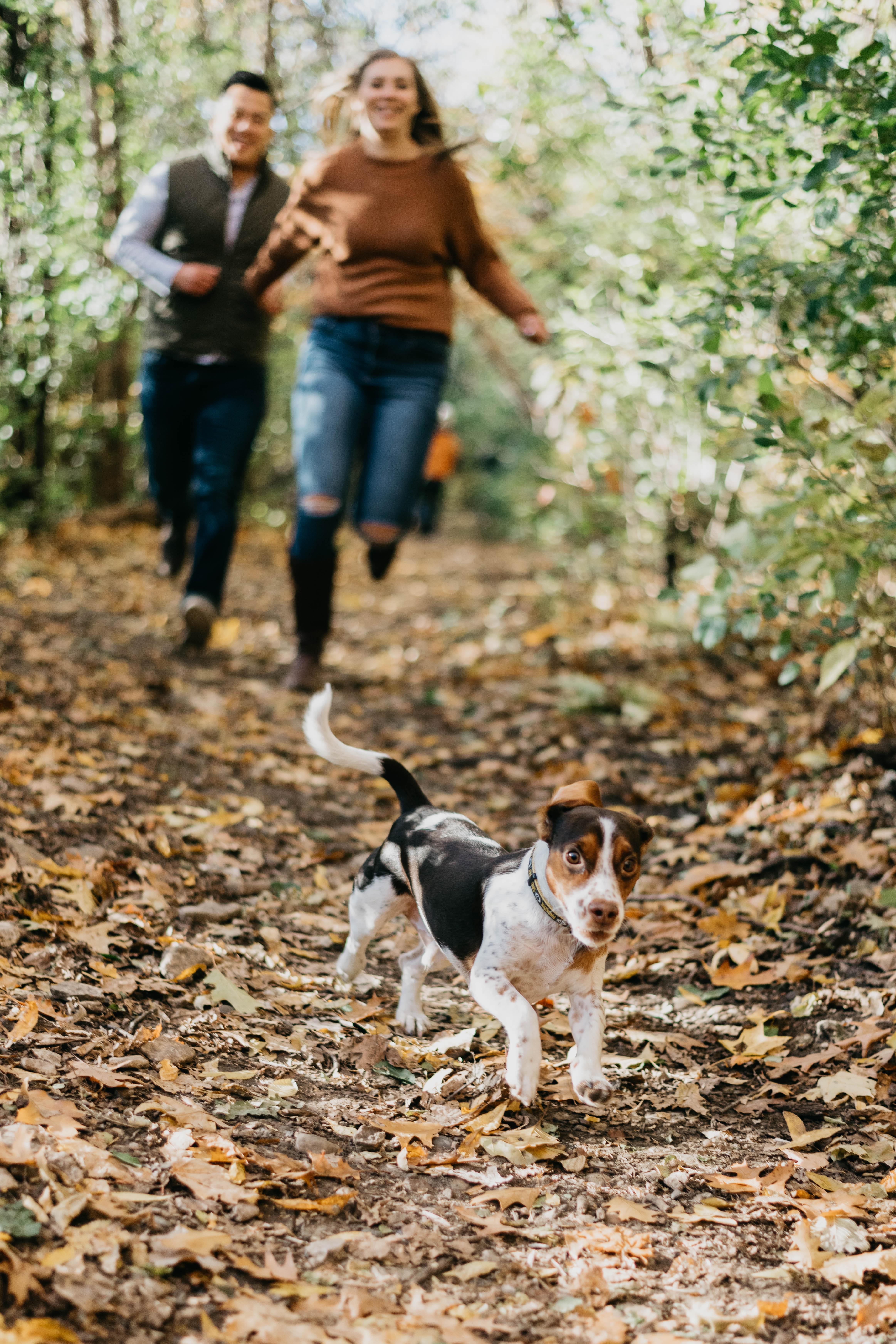 The Wedding Website of Lauren Janssen and Jimmy Xiong