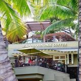 Island Vintage Coffee Waikiki