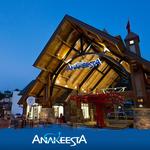 Anakeesta