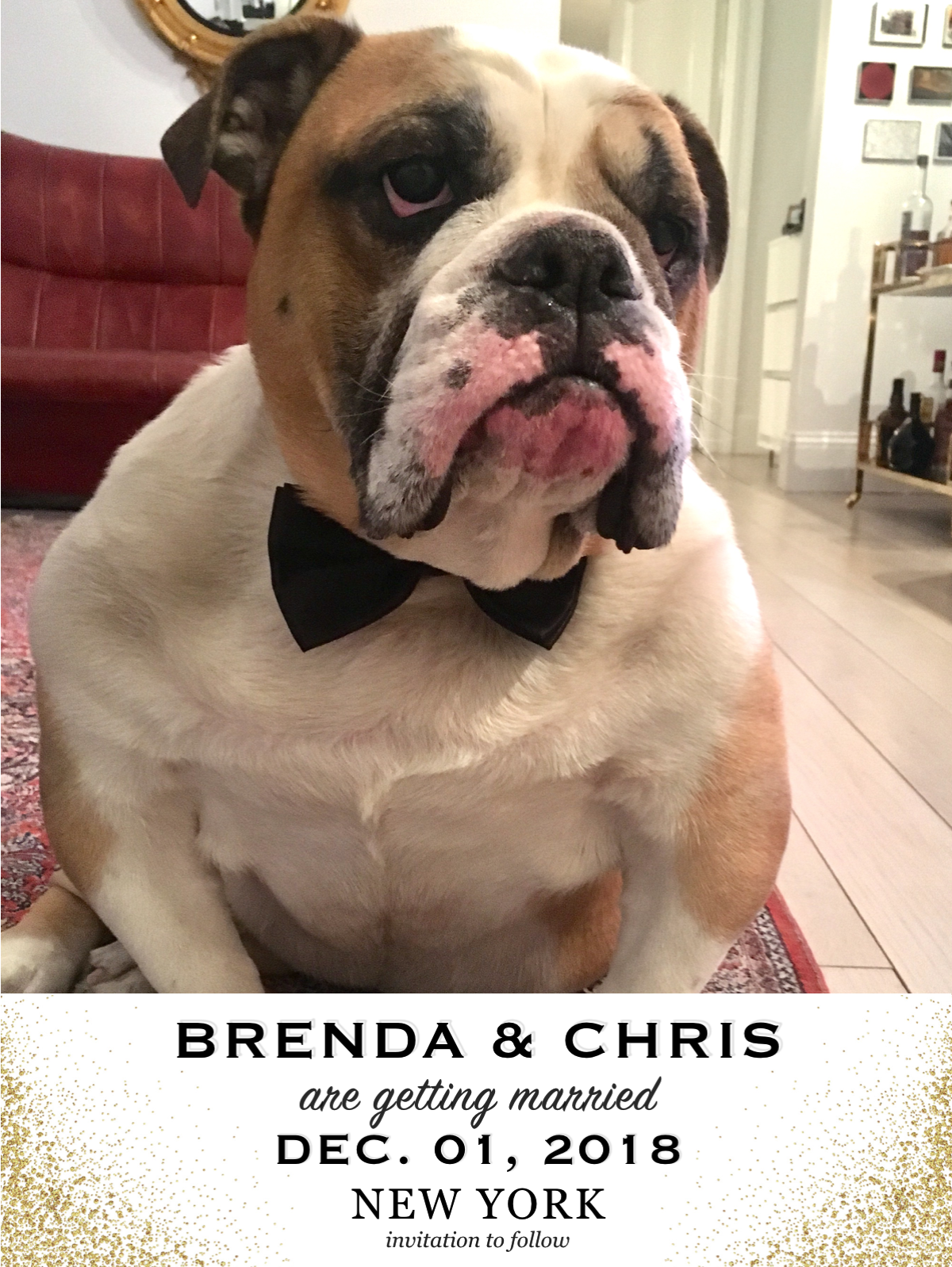 The Wedding Website of Brenda O'Donovan and Chris Kooluris