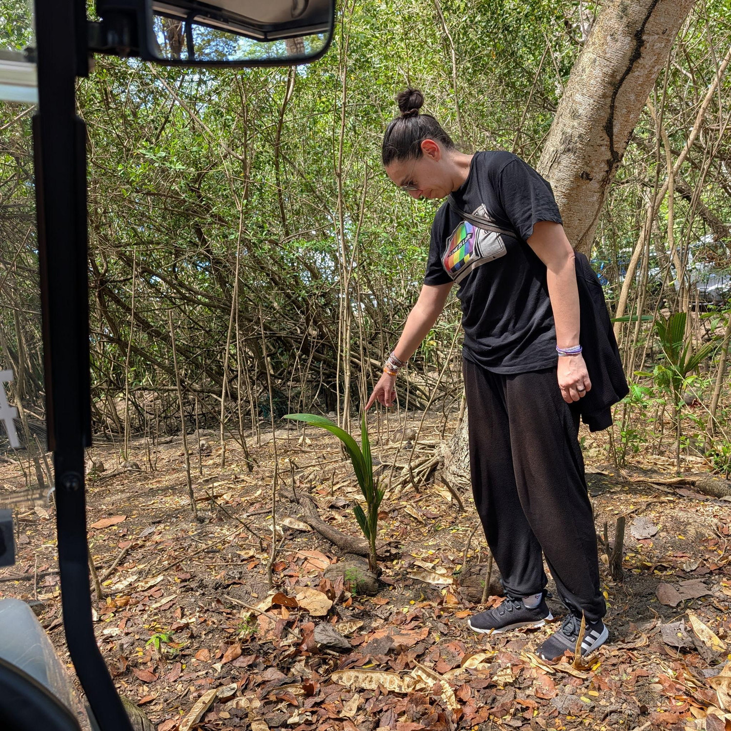Noemi poking sprouting coconut.
**Aquí estoy tocando un coco.