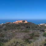 Torrey Pines State Reserve