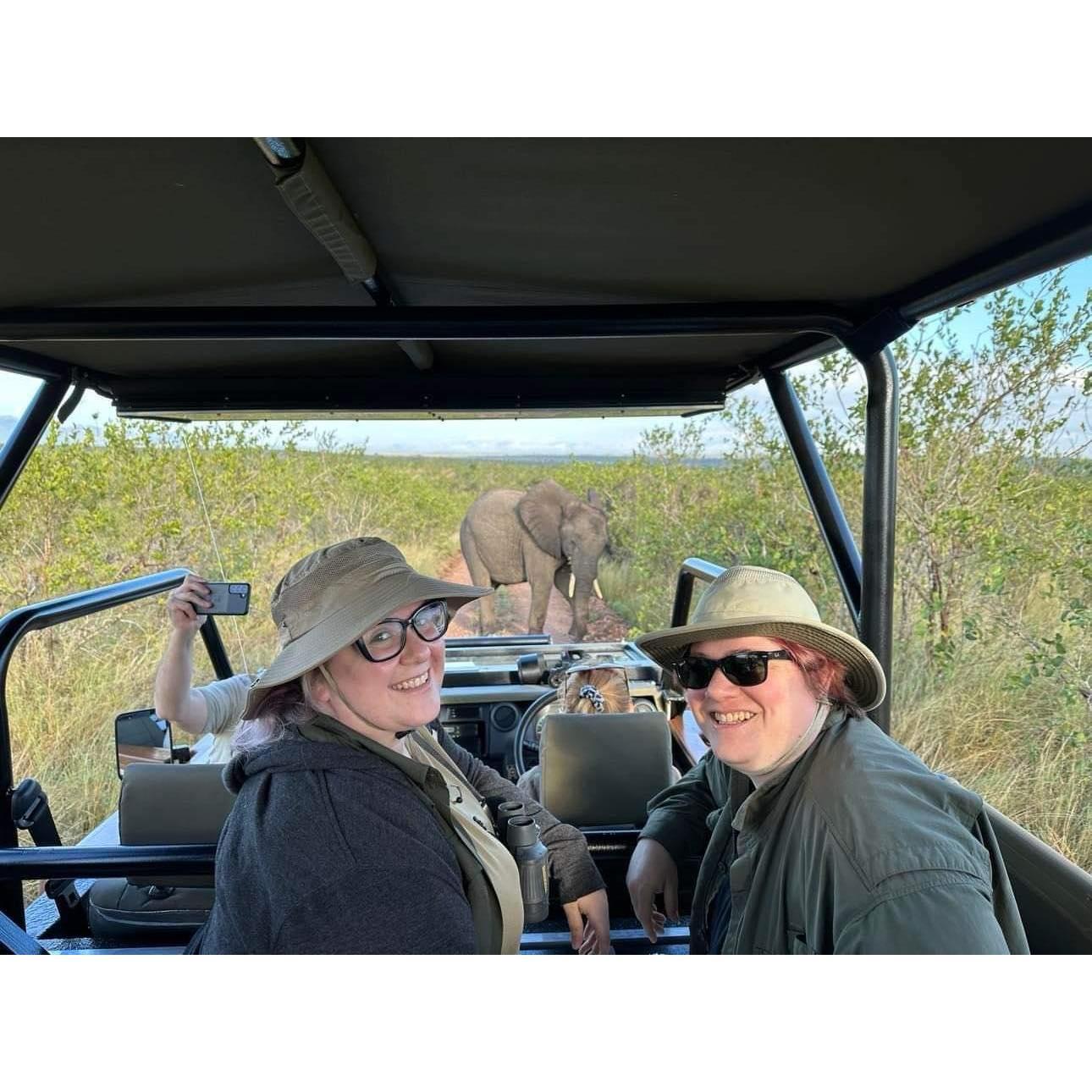 Our amazing safari adventure with friends in South Africa