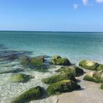 Chadwick Park at Englewood Beach