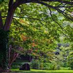 Botanical Gardens