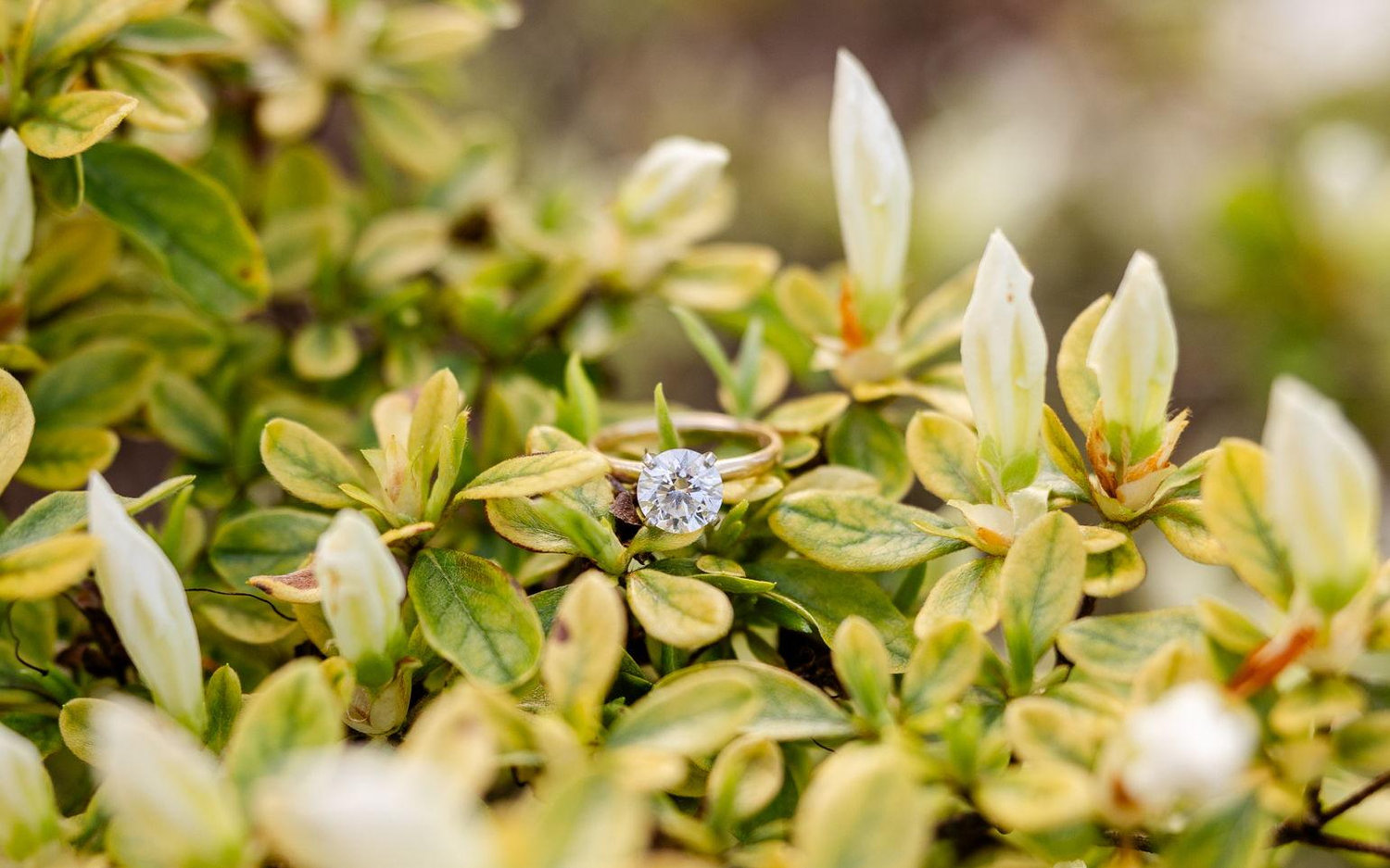 The Wedding Website of Hannah Sondberg and Hunter Lyles