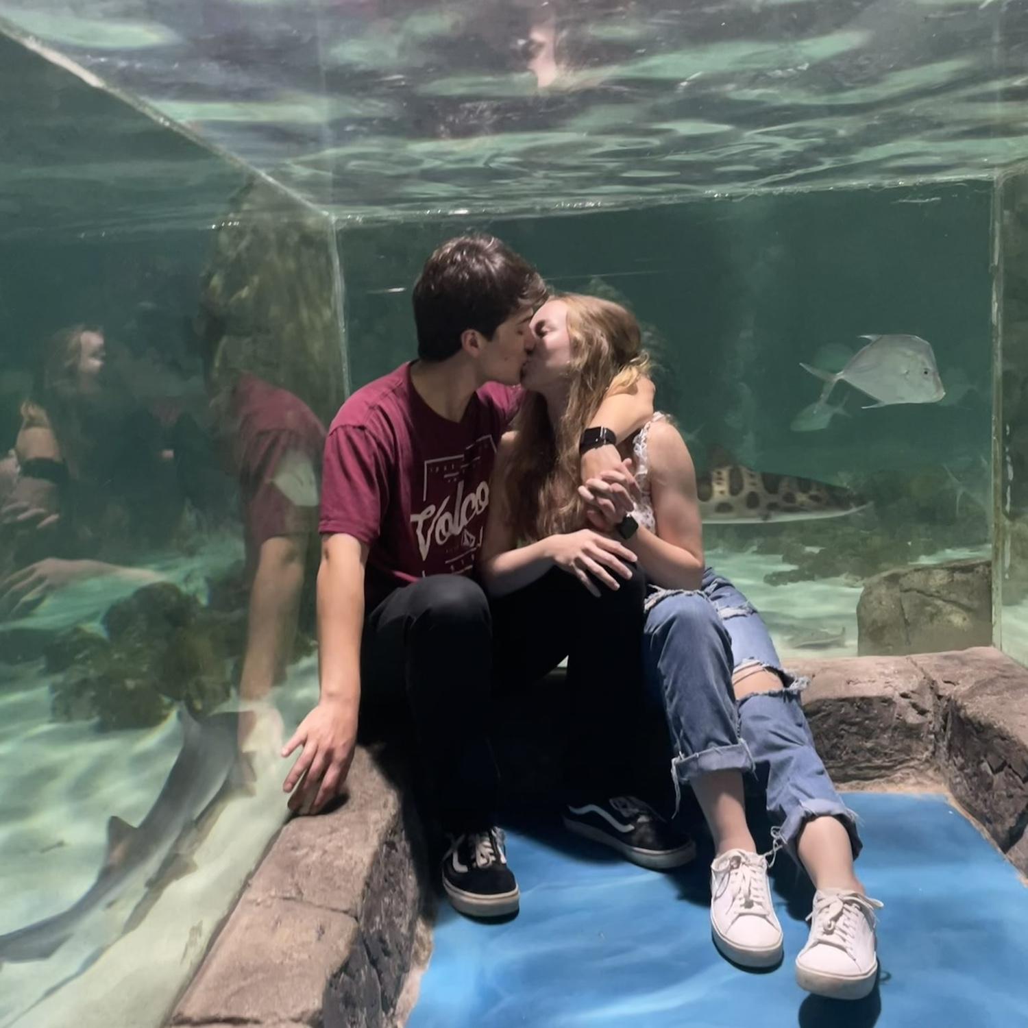 We went with the twins to SeaQuest in Lynchburg when we were visiting my grandparents!