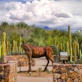 Tohono Chul Botanical Gardens, Galleries, and Bistro