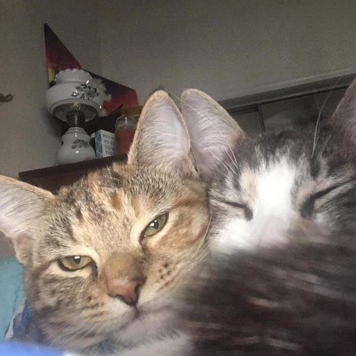 Willow looks so excited.
