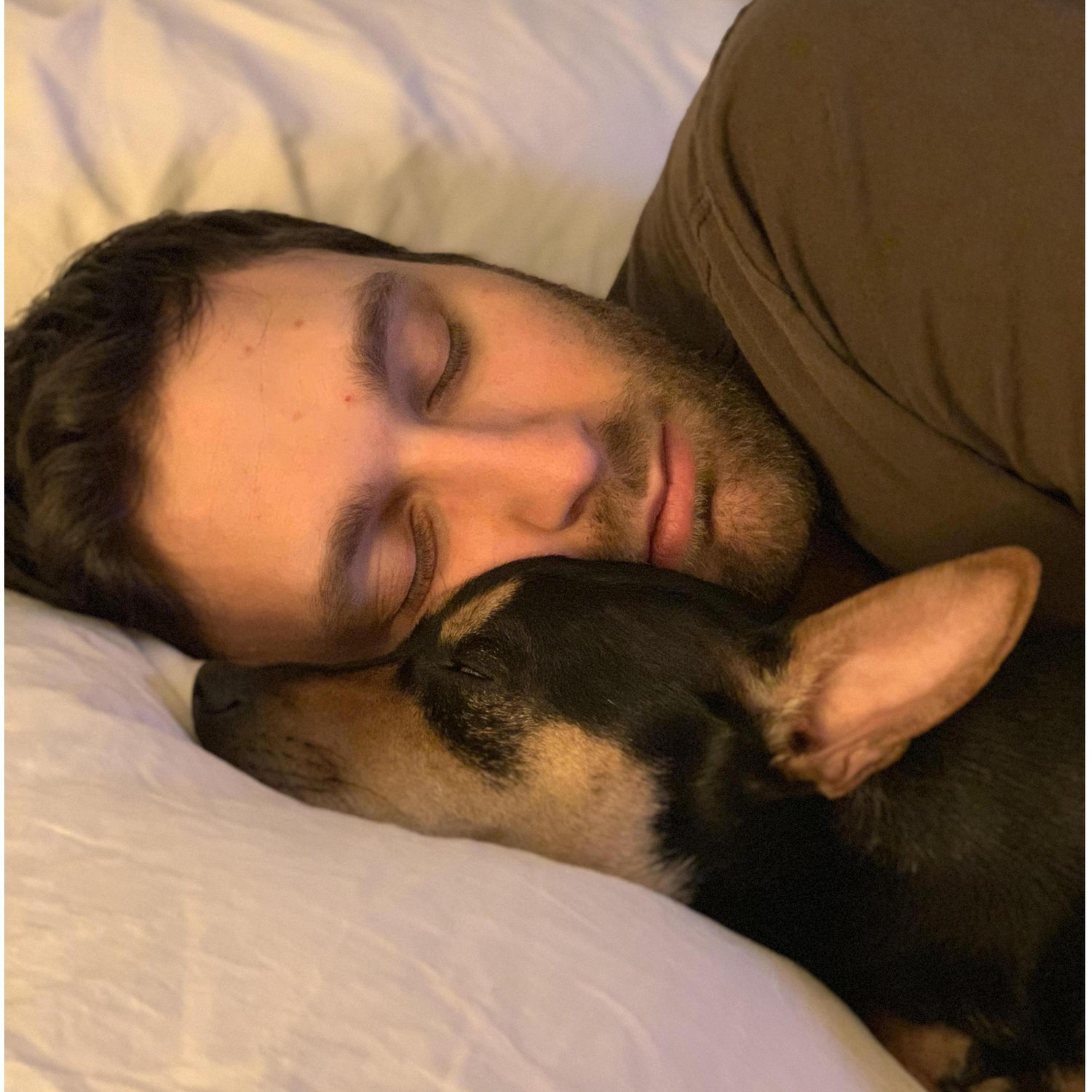 Our beloved Finn McCool, the best snuggle buddy ever.
