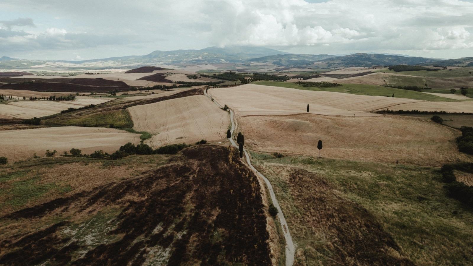 The Wedding Website of Rachel Trice and Mohamed Atry