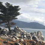 17 Mile Drive