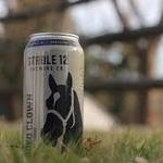 Stable 12 Brewing Company