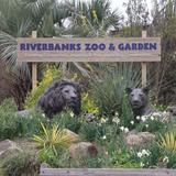 Riverbanks Zoo & Garden