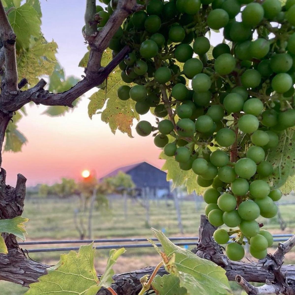 The Wedding Website of Marissa Cremeans and Justin Smith