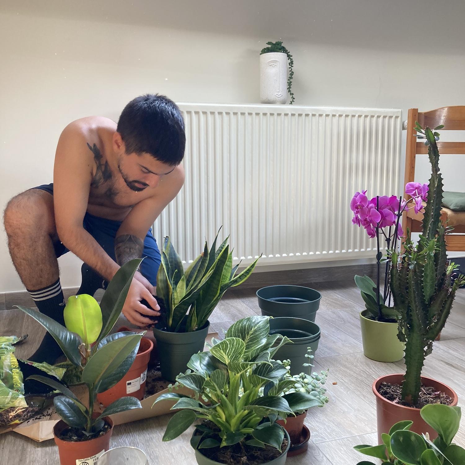 August 2023: We moved to Brussels! Repotting our plants in our new home