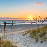 Welcome to Amelia Island!