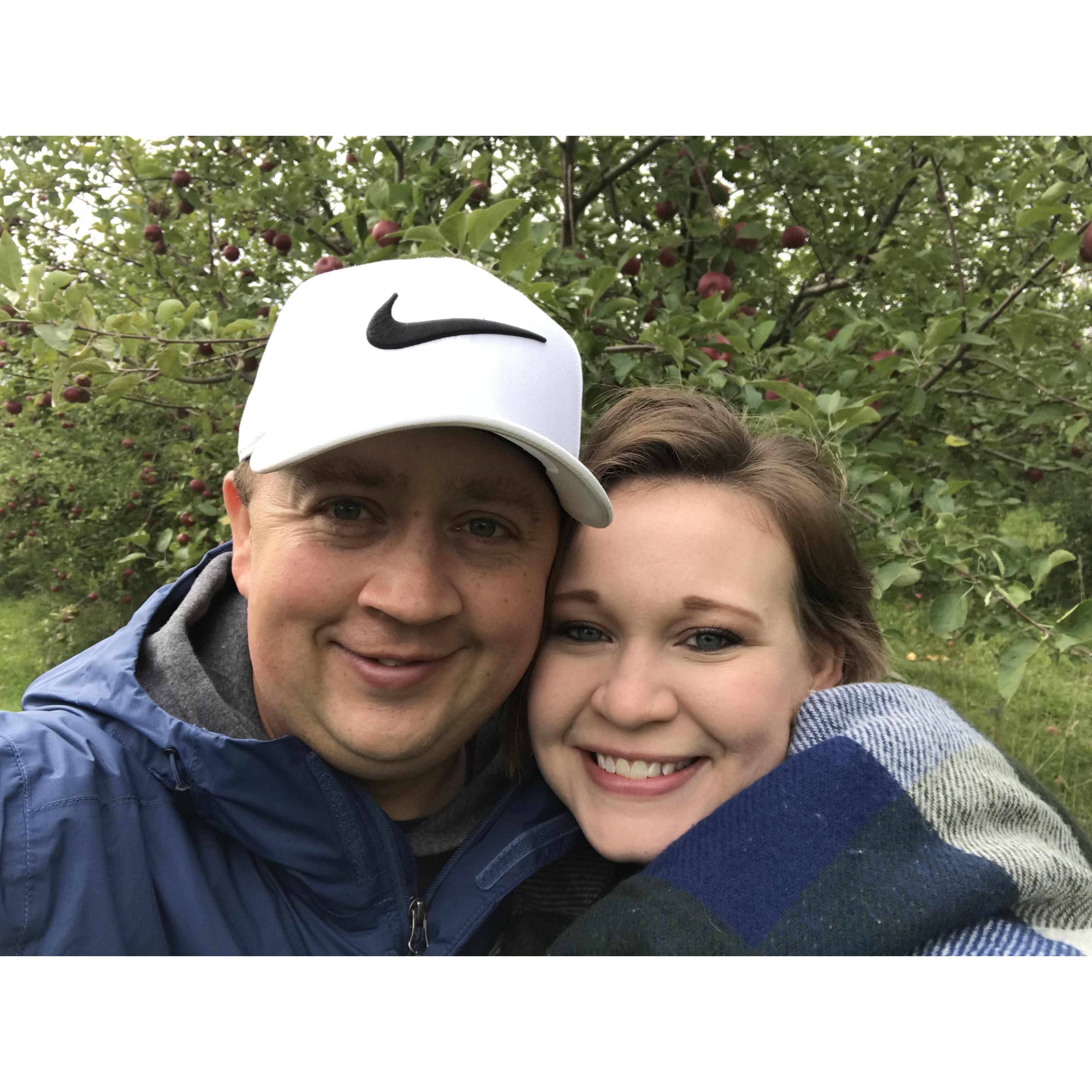 Apple picking adventure