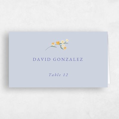 Sweet Blue Wedding Place Card - Dolce