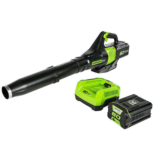 Greenworks BL80L2510 80V Jet Electric Leaf Blower, 2.5Ah Battery and Charger Included