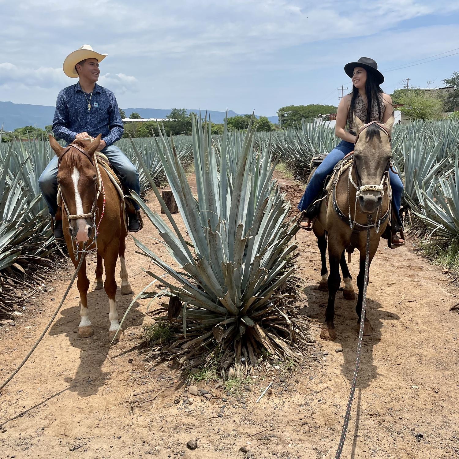 📍Tequila, Jalisco