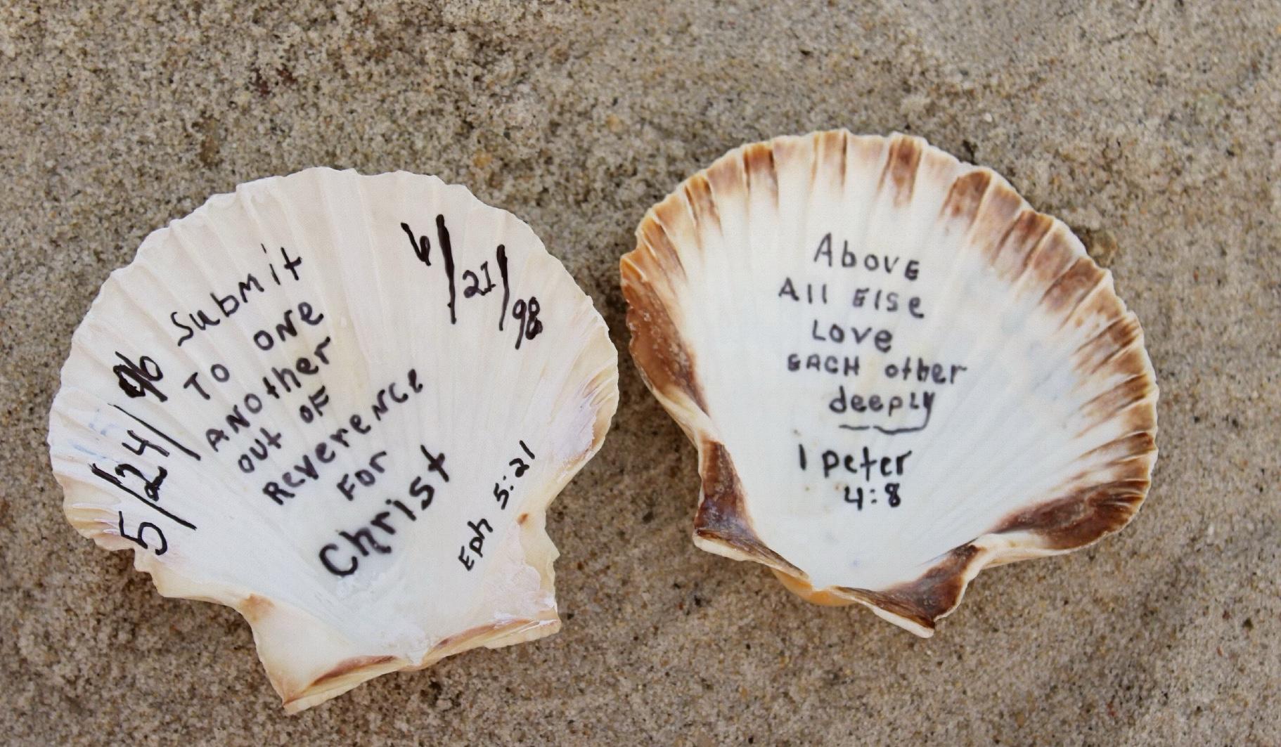 The Wedding Website of Zachary King and Hanna Hembrow