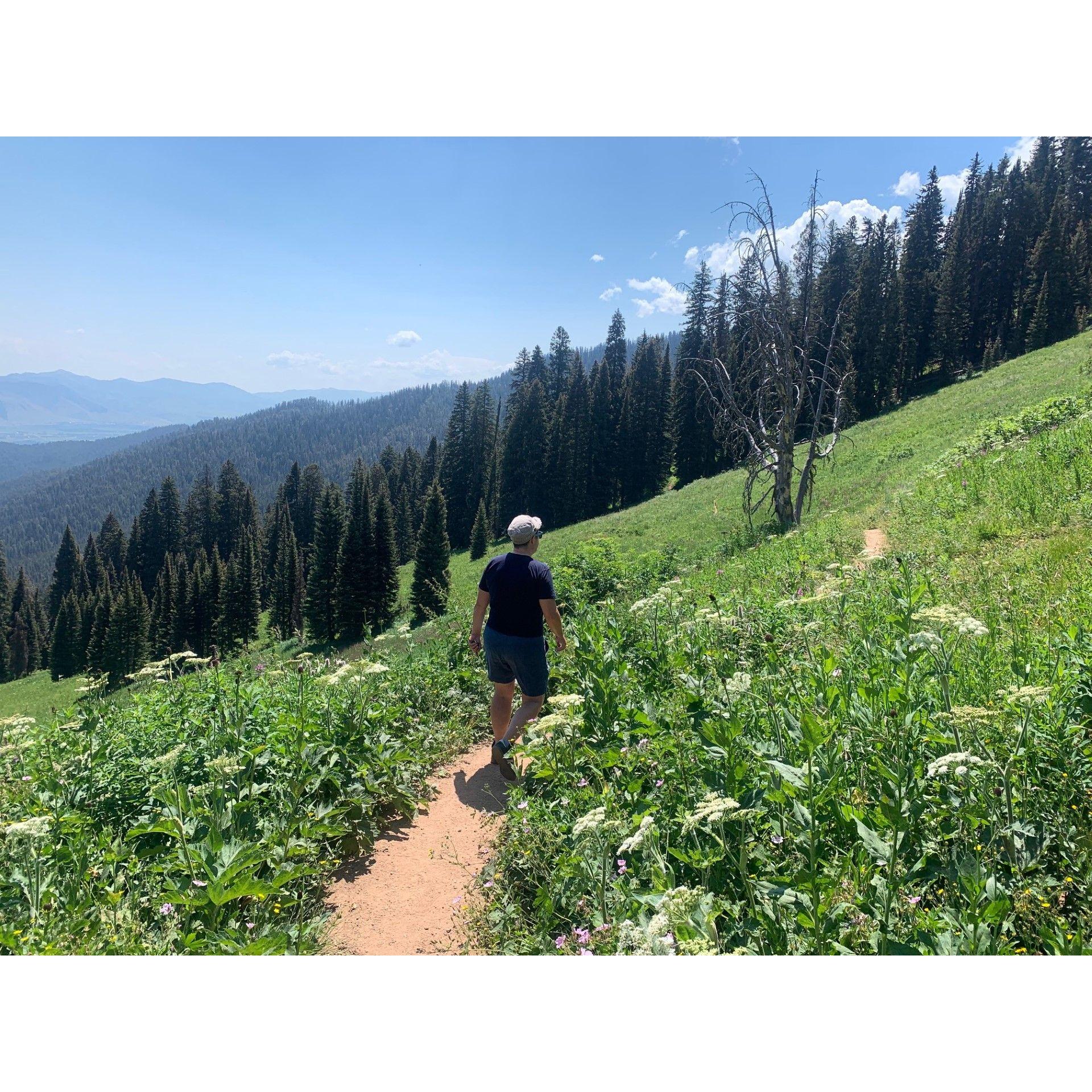 One of the many beautiful hikes we have done in the Wydaho area.