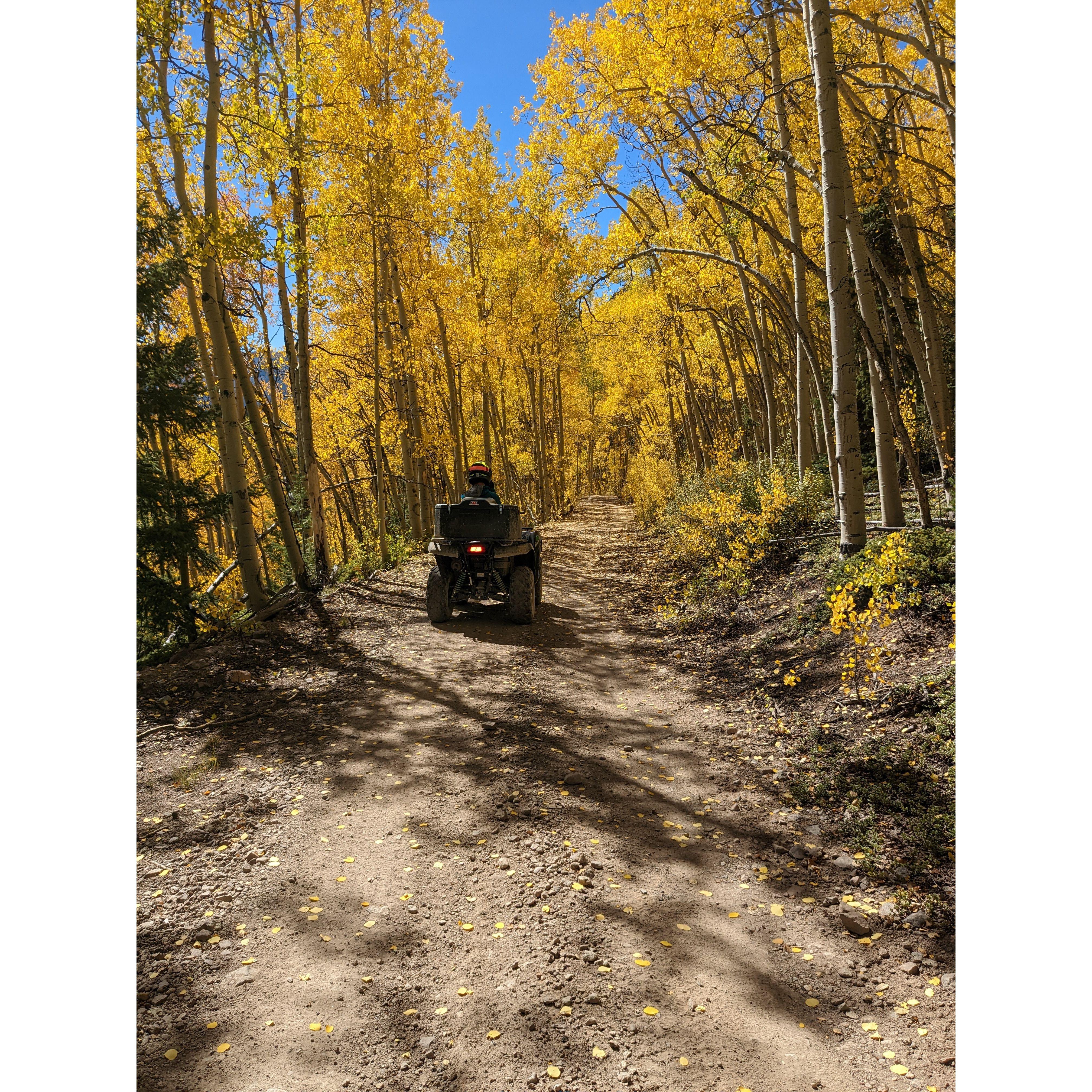 ATVing in Lake City 2022