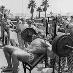 Venice Muscle Beach
